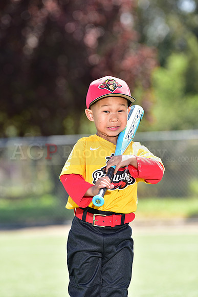 T-Ball_Redwings0022