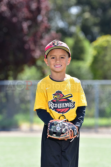 T-Ball_Redwings0003