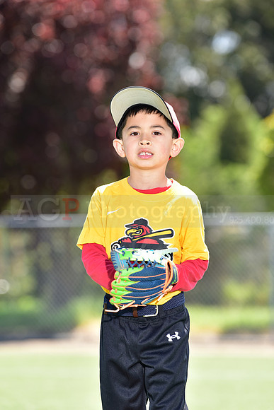 T-Ball_Redwings0024