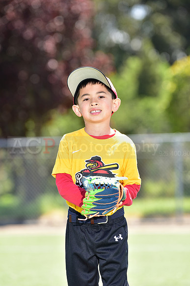 T-Ball_Redwings0026
