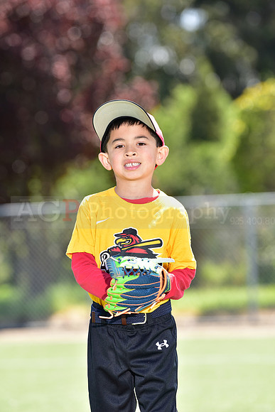 T-Ball_Redwings0025