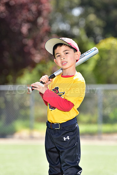 T-Ball_Redwings0029