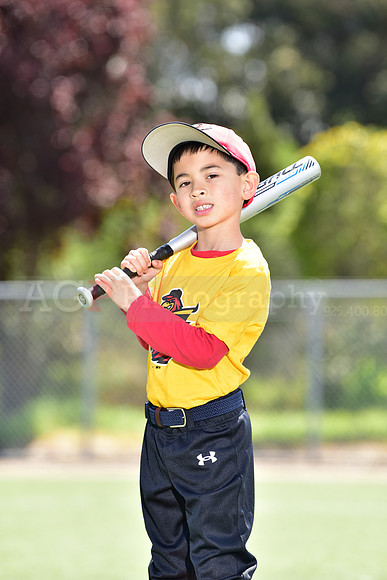 T-Ball_Redwings0028