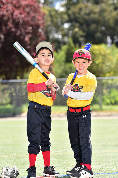 T-Ball_Redwings0031