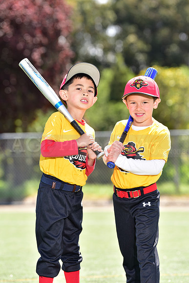 T-Ball_Redwings0033