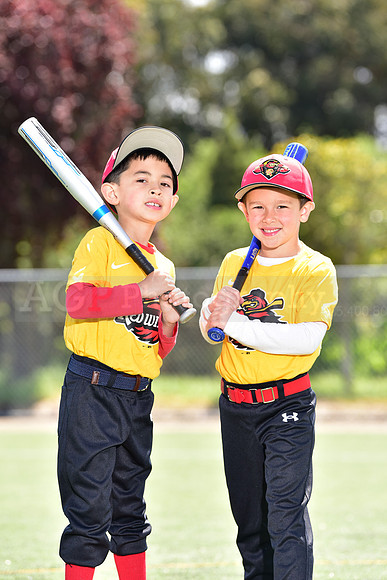 T-Ball_Redwings0032
