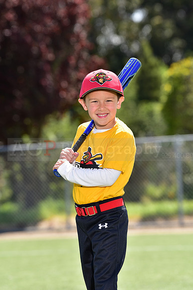 T-Ball_Redwings0036