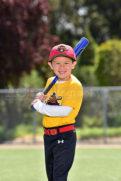 T-Ball_Redwings0037