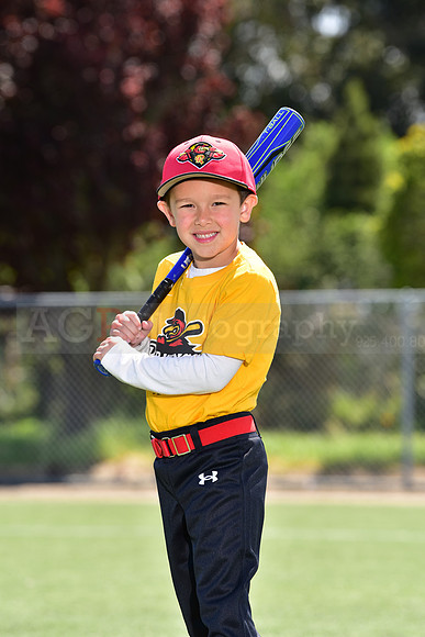 T-Ball_Redwings0038