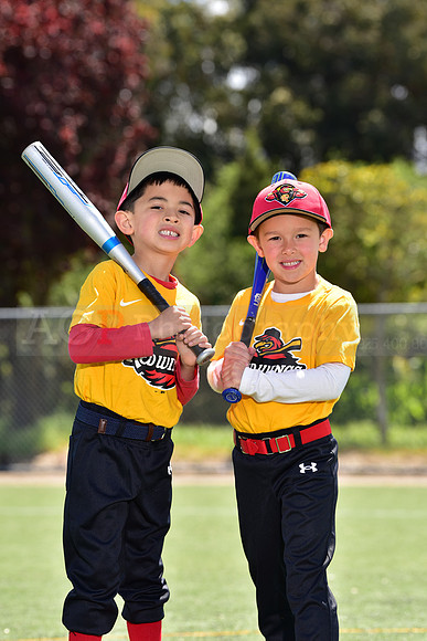 T-Ball_Redwings0035