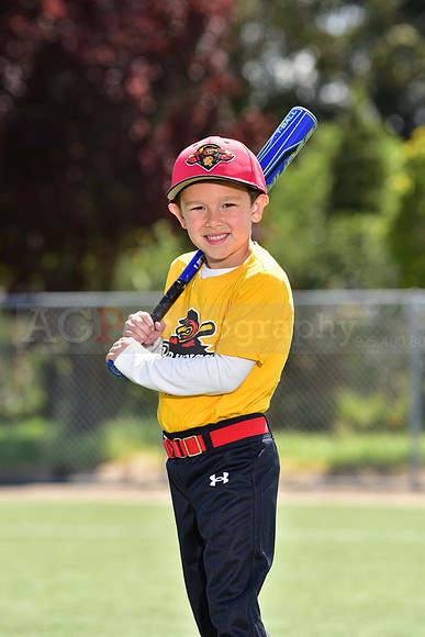 T-Ball_Redwings0039