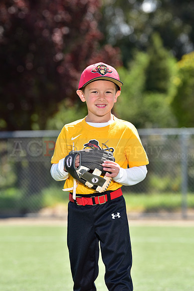 T-Ball_Redwings0041