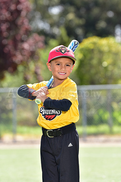 T-Ball_Redwings0006
