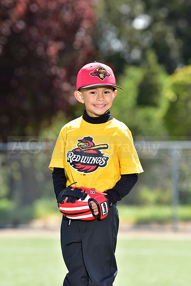 T-Ball_Redwings0045