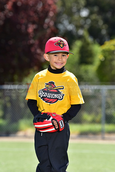 T-Ball_Redwings0043