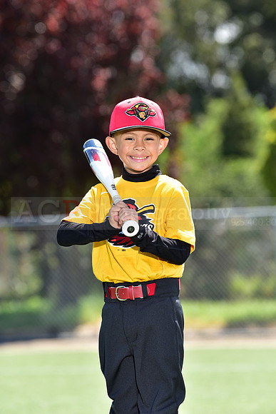 T-Ball_Redwings0046