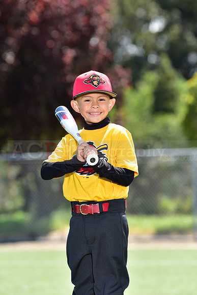 T-Ball_Redwings0048