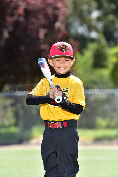 T-Ball_Redwings0047