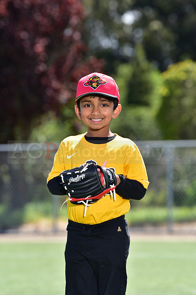 T-Ball_Redwings0050