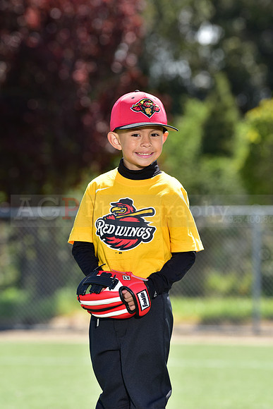 T-Ball_Redwings0044