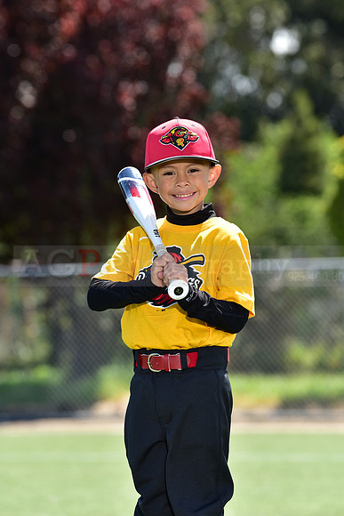 T-Ball_Redwings0049