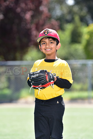 T-Ball_Redwings0054