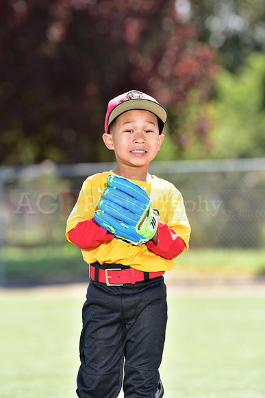 T-Ball_Redwings0018