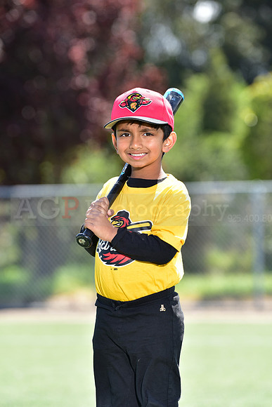 T-Ball_Redwings0055