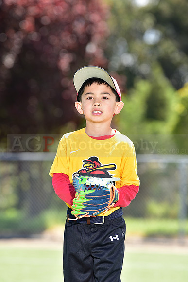 T-Ball_Redwings0023