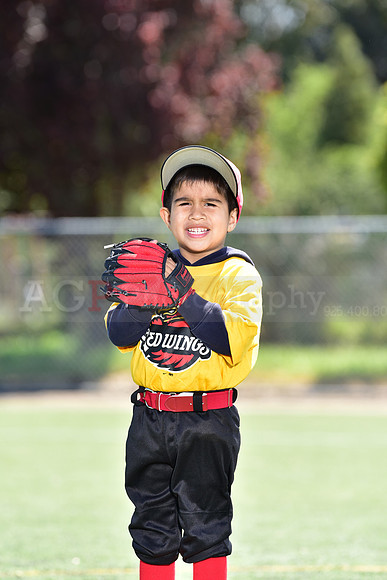 T-Ball_Redwings0058