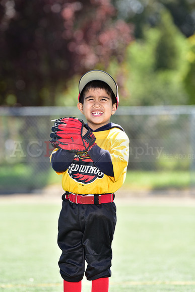 T-Ball_Redwings0059