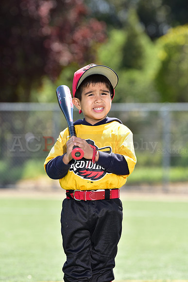 T-Ball_Redwings0062