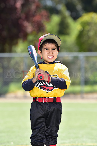 T-Ball_Redwings0063