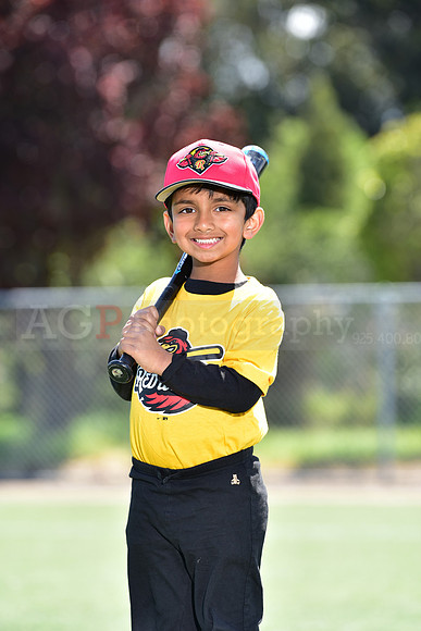 T-Ball_Redwings0056