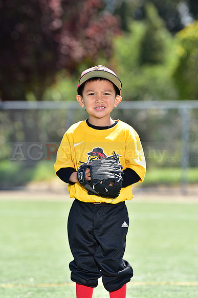 T-Ball_Redwings0065