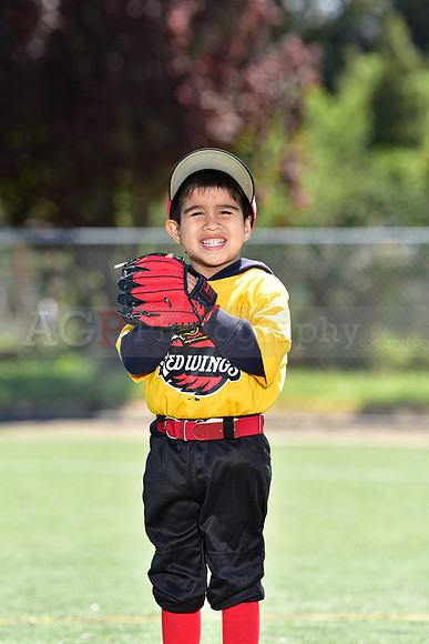 T-Ball_Redwings0060