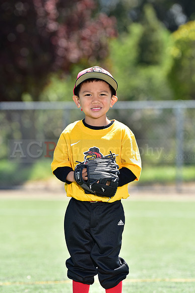 T-Ball_Redwings0066