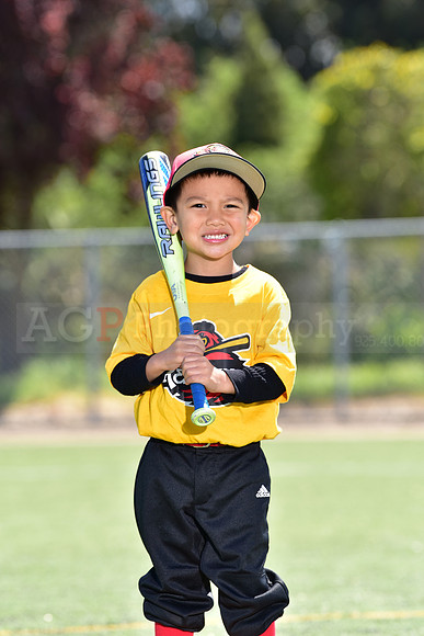 T-Ball_Redwings0070