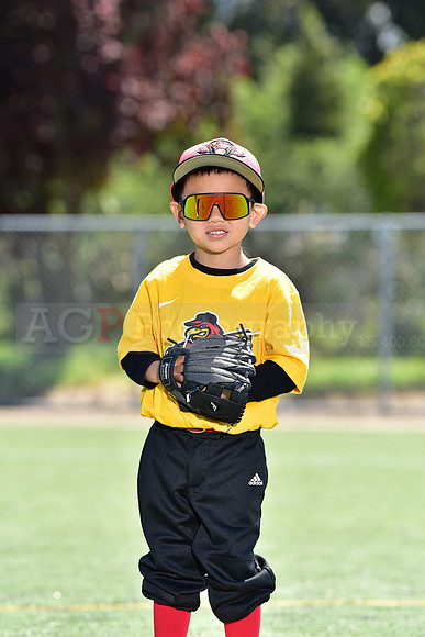 T-Ball_Redwings0067