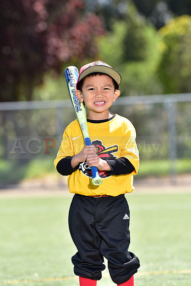 T-Ball_Redwings0071