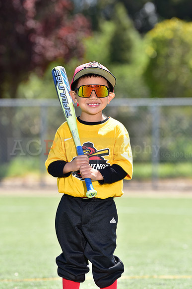 T-Ball_Redwings0072