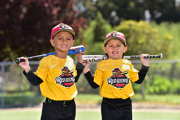 T-Ball_Redwings0074