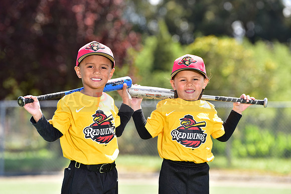 T-Ball_Redwings0076