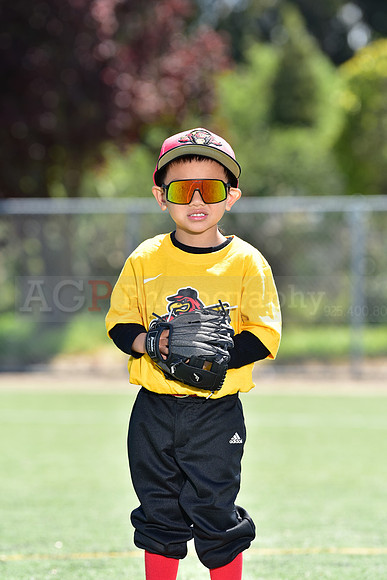 T-Ball_Redwings0068