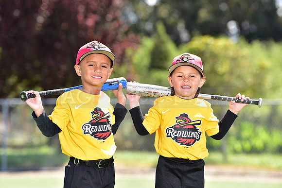 T-Ball_Redwings0078