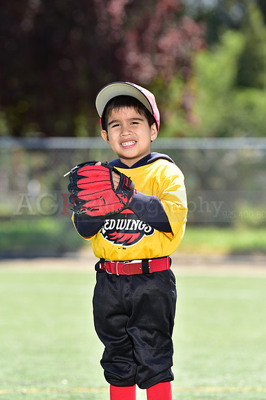 T-Ball_Redwings0061