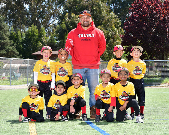 T-Ball_Redwings0083
