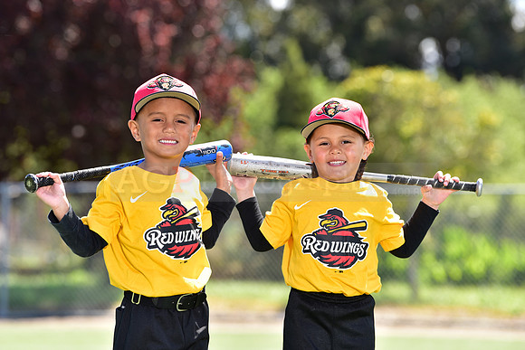 T-Ball_Redwings0077