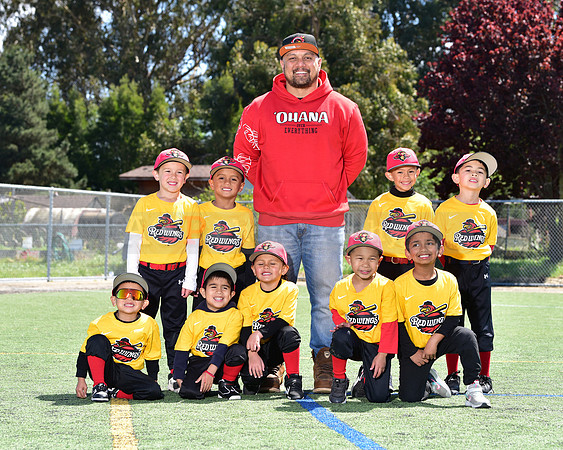 T-Ball_Redwings0084