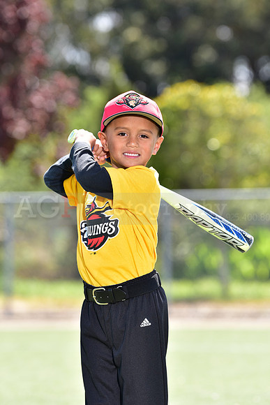 T-Ball_Redwings0005